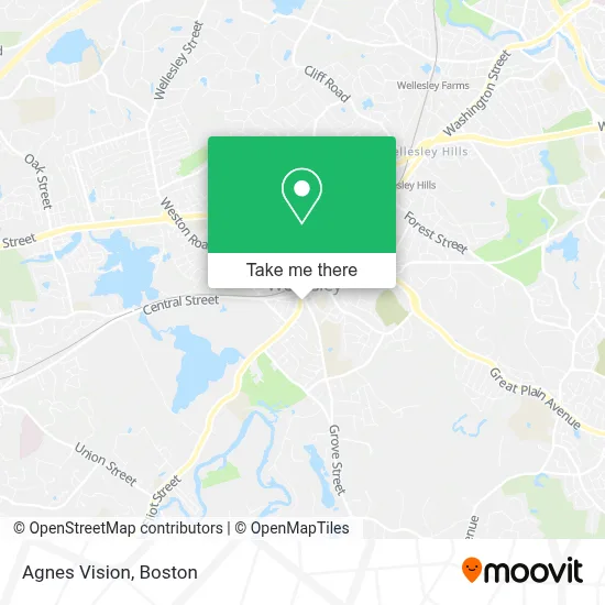 Agnes Vision map