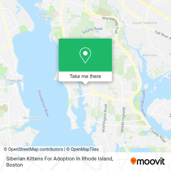 Siberian Kittens For Adoption In Rhode Island map