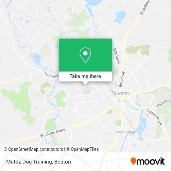 Mutdz Dog Training map