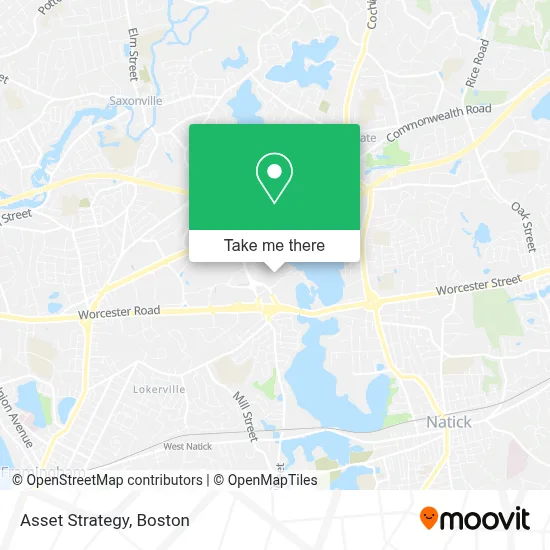 Asset Strategy map