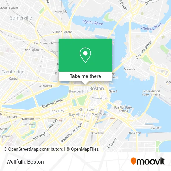 Wellfulli map