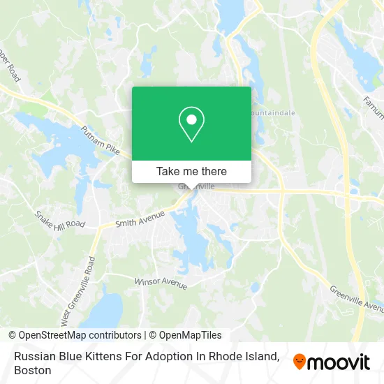 Russian Blue Kittens For Adoption In Rhode Island map