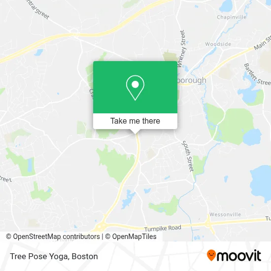 Tree Pose Yoga map