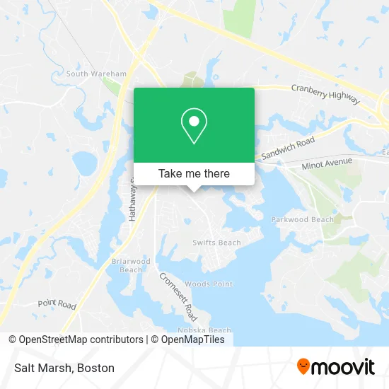 Salt Marsh map