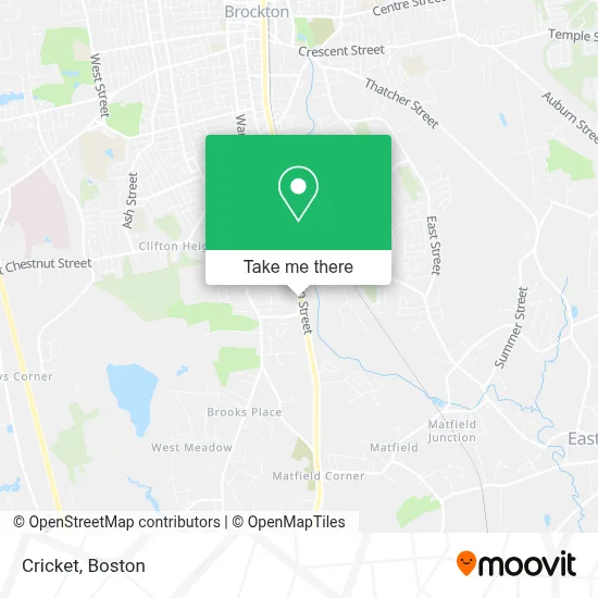 Cricket map