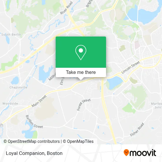 Loyal Companion map