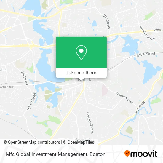 Mfc Global Investment Management map
