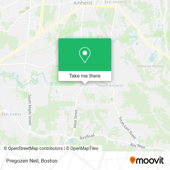Pregozen Neil map