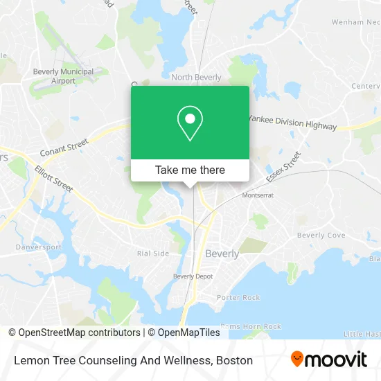 Lemon Tree Counseling And Wellness map