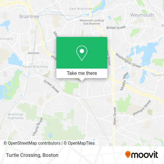 Turtle Crossing map