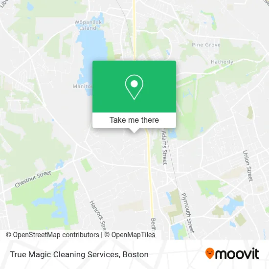 True Magic Cleaning Services map
