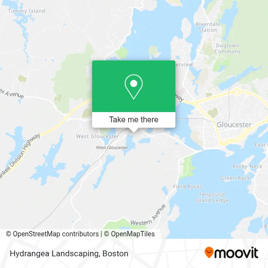Hydrangea Landscaping map