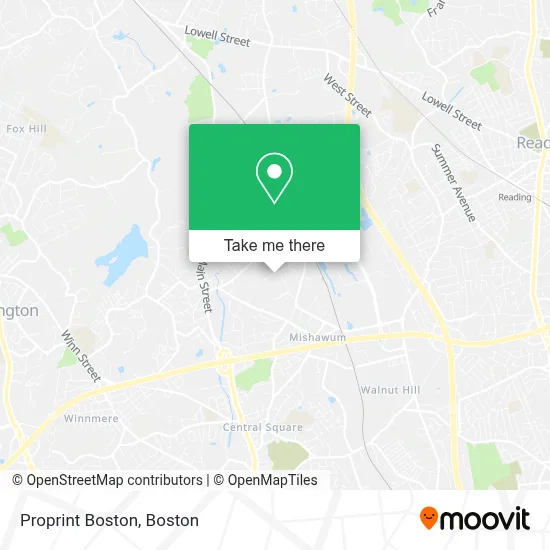 Proprint Boston map