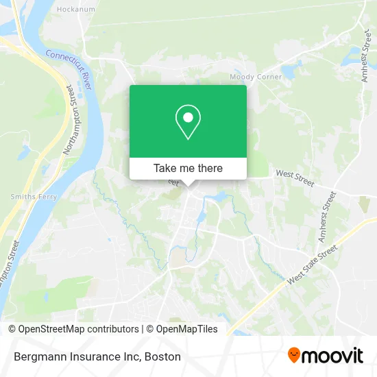 Bergmann Insurance Inc map