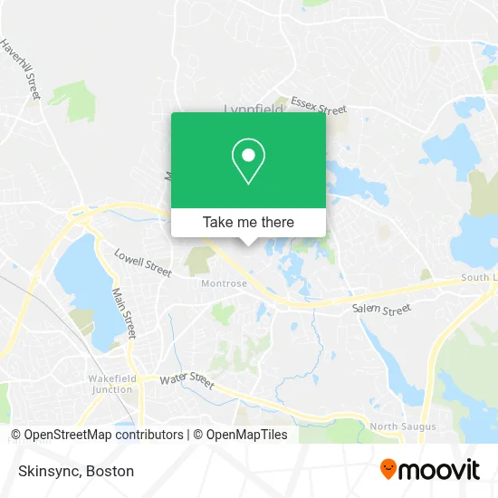 Skinsync map