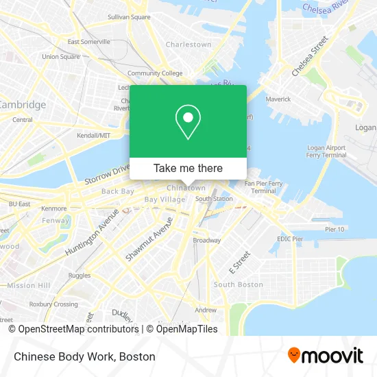 Chinese Body Work map