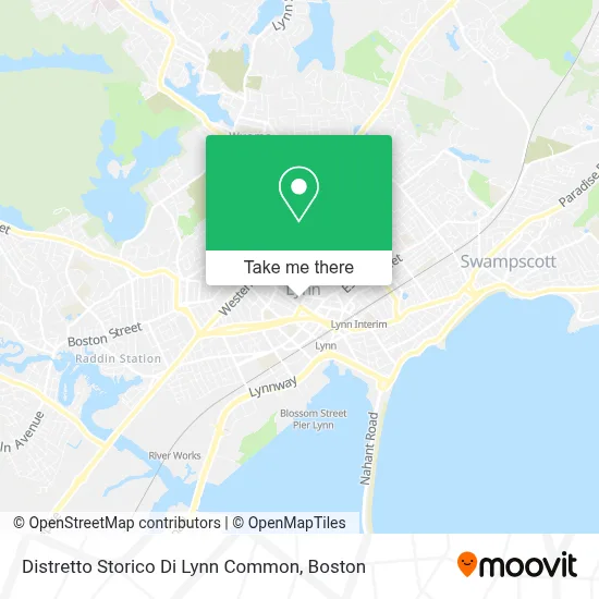 Distretto Storico Di Lynn Common map