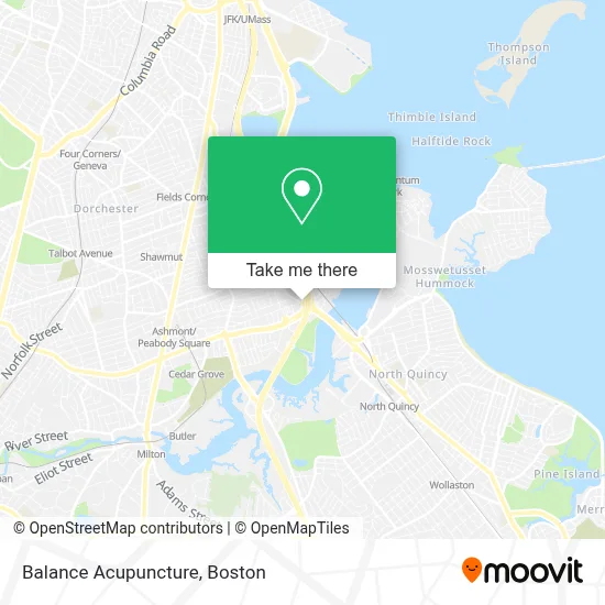 Balance Acupuncture map