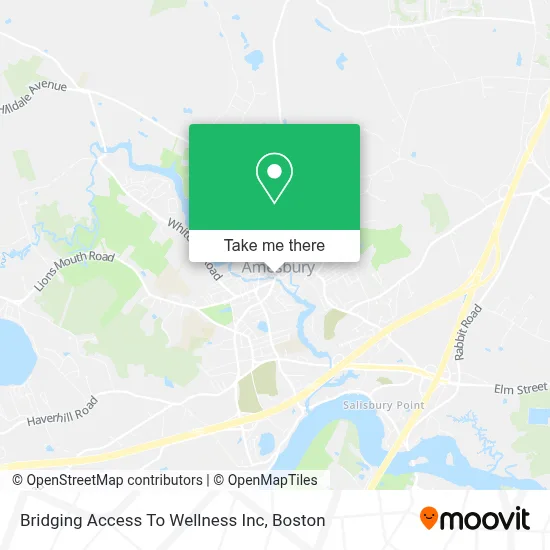 Bridging Access To Wellness Inc map