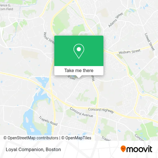 Loyal Companion map