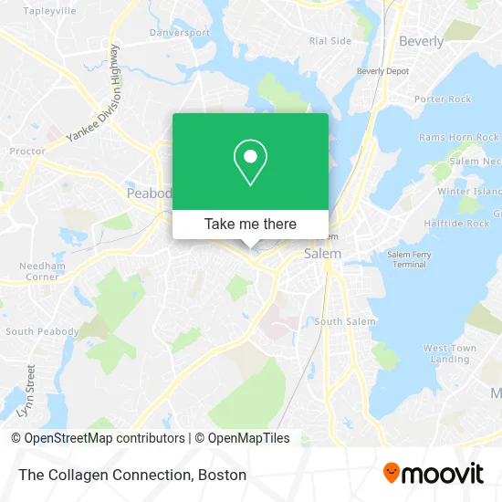 The Collagen Connection map