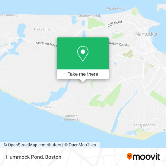 Hummock Pond map