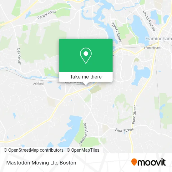 Mastodon Moving Llc map