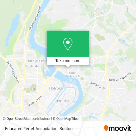 Educated Ferret Association map