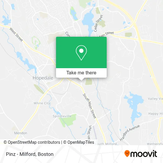 Pinz - Milford map