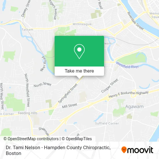 Dr. Tami Nelson - Hampden County Chiropractic map