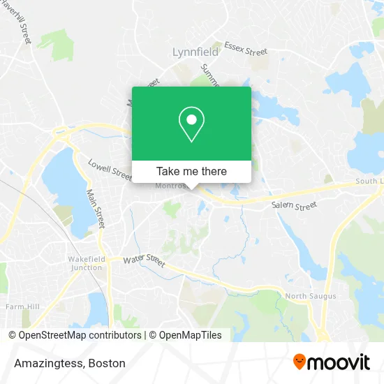 Amazingtess map