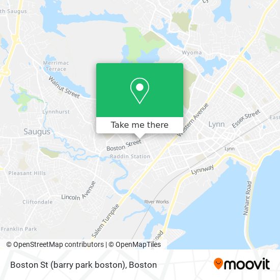 Boston St (barry park boston) map