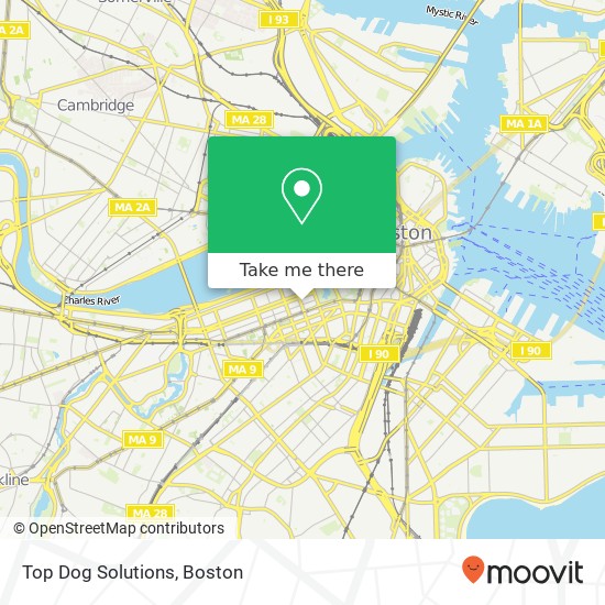 Mapa de Top Dog Solutions, 45 Newbury St
