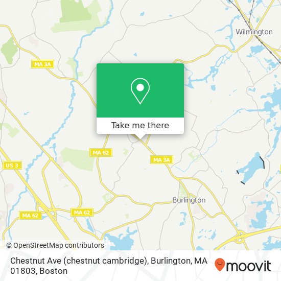 Chestnut Ave (chestnut cambridge), Burlington, MA 01803 map
