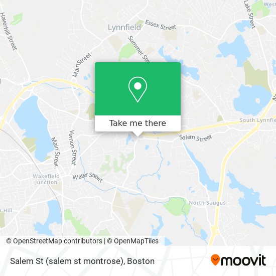 Salem St (salem st montrose) map