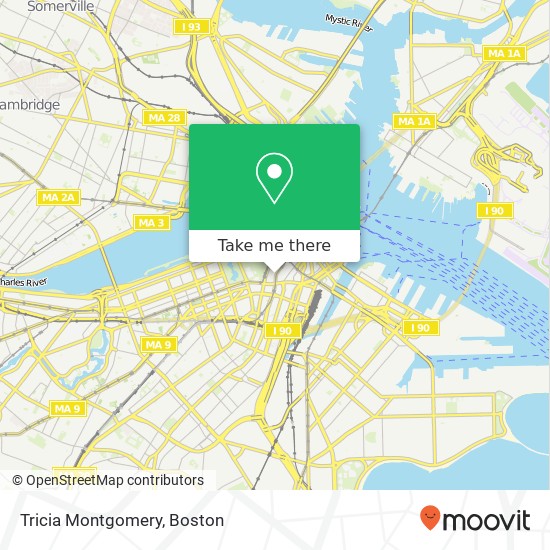 Mapa de Tricia Montgomery, 591 Washington St Boston, MA 02111