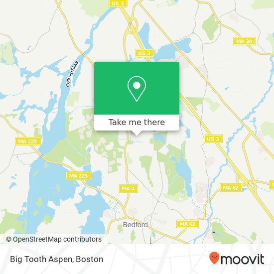 Mapa de Big Tooth Aspen