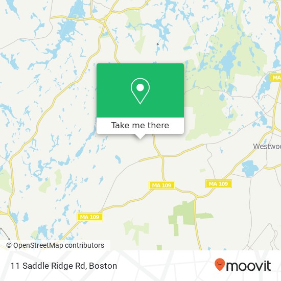 11 Saddle Ridge Rd map