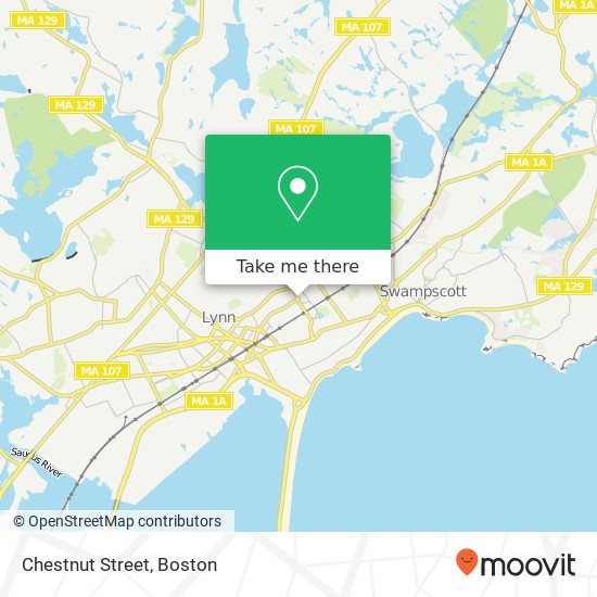Chestnut Street map