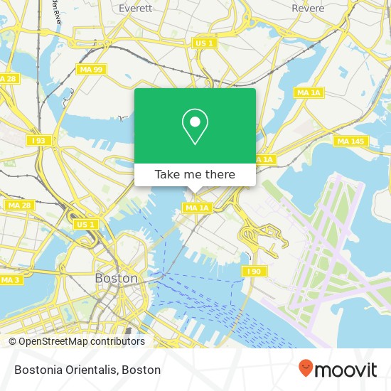 Mapa de Bostonia Orientalis
