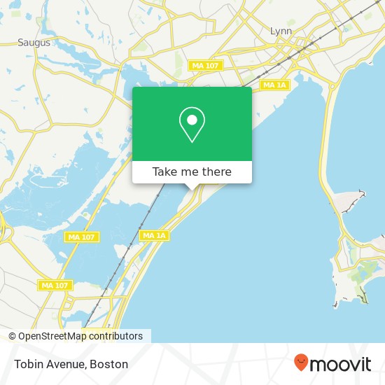 Mapa de Tobin Avenue