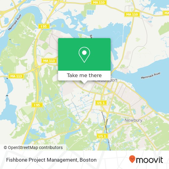 Mapa de Fishbone Project Management