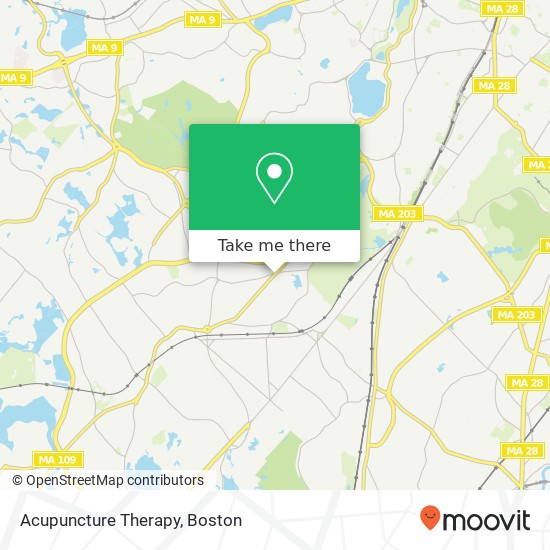 Mapa de Acupuncture Therapy