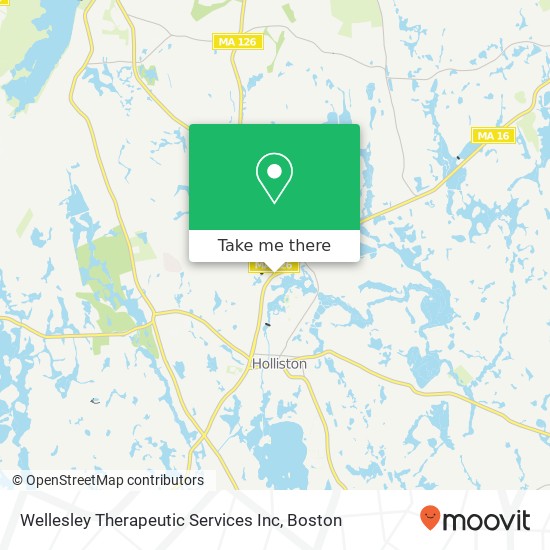 Wellesley Therapeutic Services Inc map