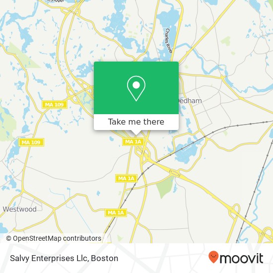 Salvy Enterprises Llc map