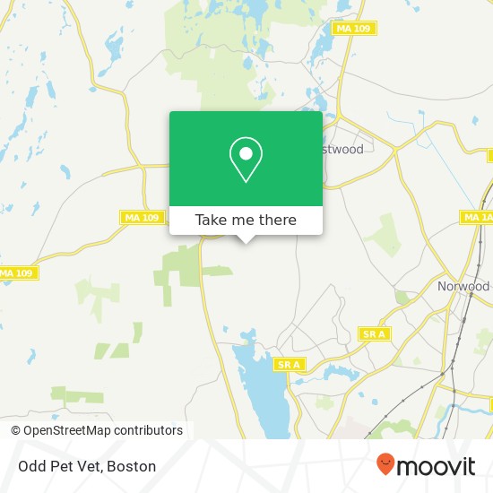 Odd Pet Vet map