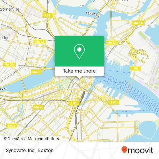 Synovate, Inc. map