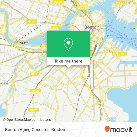 Mapa de Boston Aging Concerns