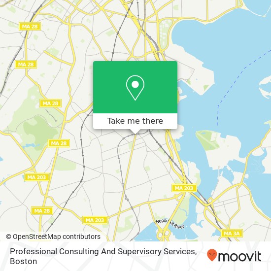 Professional Consulting And Supervisory Services map