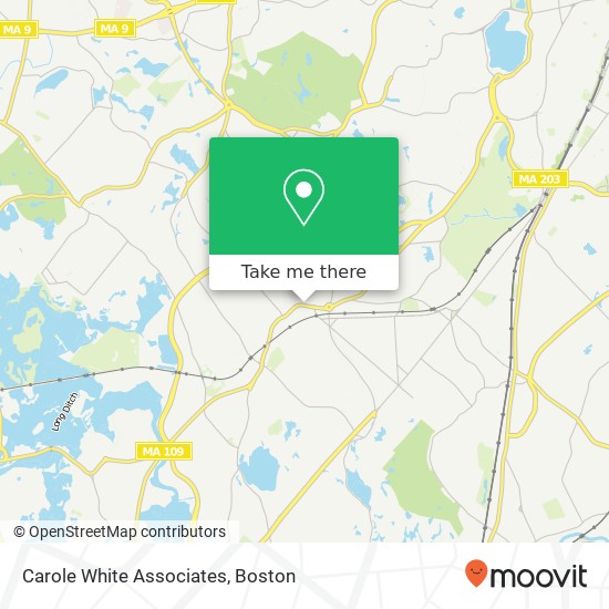 Carole White Associates map